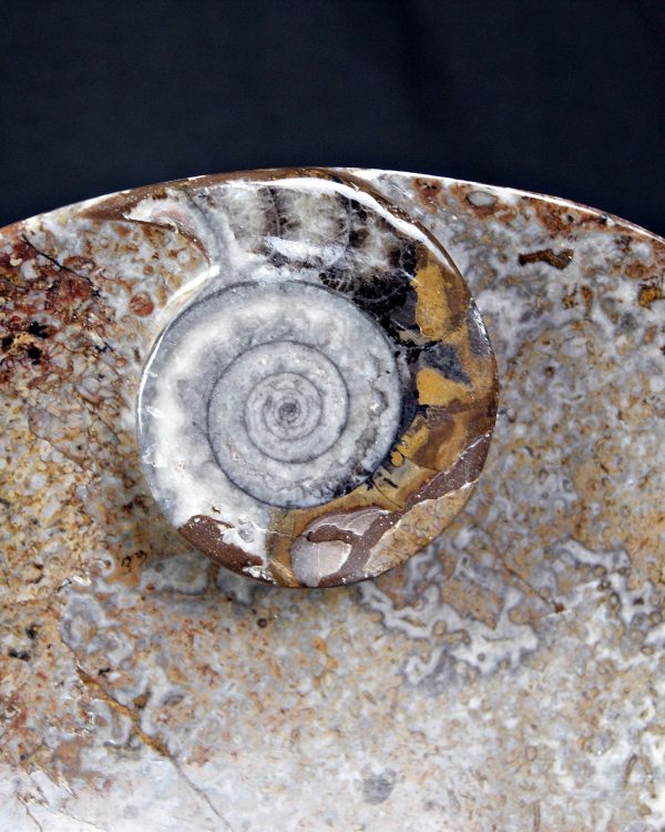 Mármol Fossil de Erfoud Bandeja