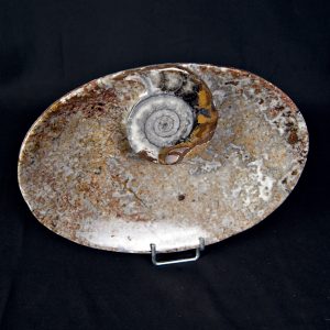 Mármol Fossil de Erfoud Bandeja