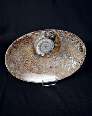 Mármol Fossil de Erfoud Bandeja