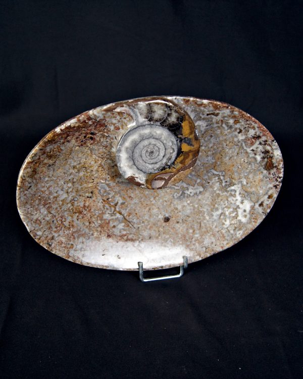 Mármol Fossil de Erfoud Bandeja