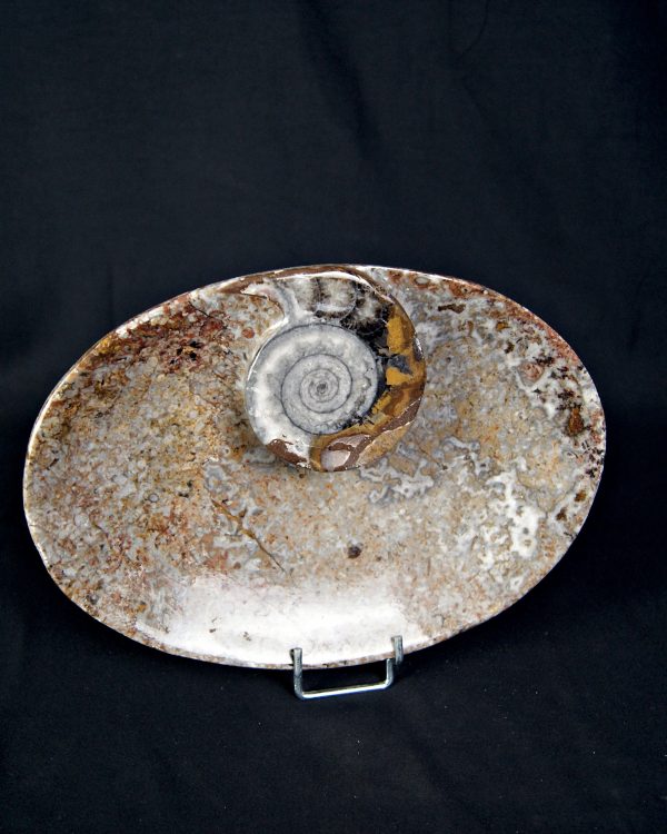 Mármol Fossil de Erfoud Bandeja