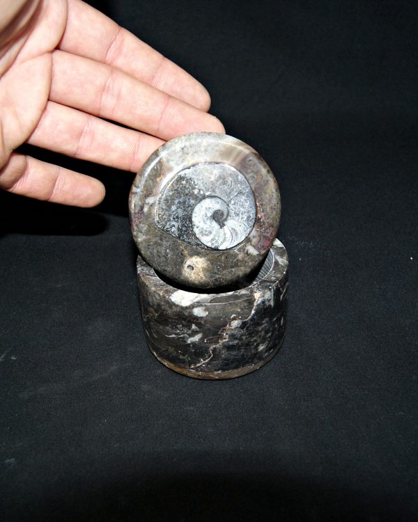 Joyero Artesanal en Mármol Fósil