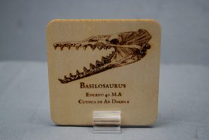 Tarjeta de madera-Basilosaurus