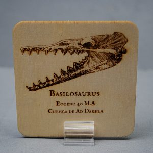 Tarjeta de madera-Basilosaurus
