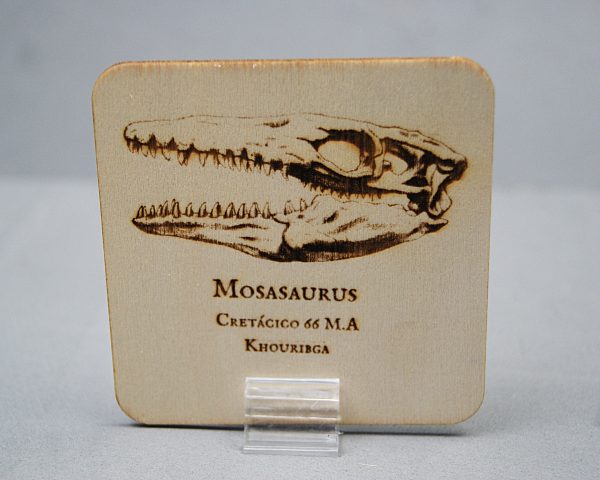 SONY DSC Tarjeta de madera Mosasaurus