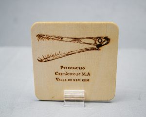 Tarjeta de madera Pterosaurio