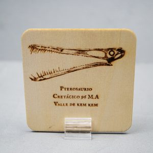 Tarjeta de madera Pterosaurio