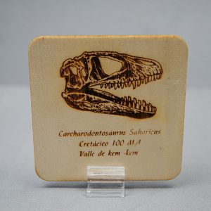 Tarjeta de madera Carcharodontosaurus saharicus