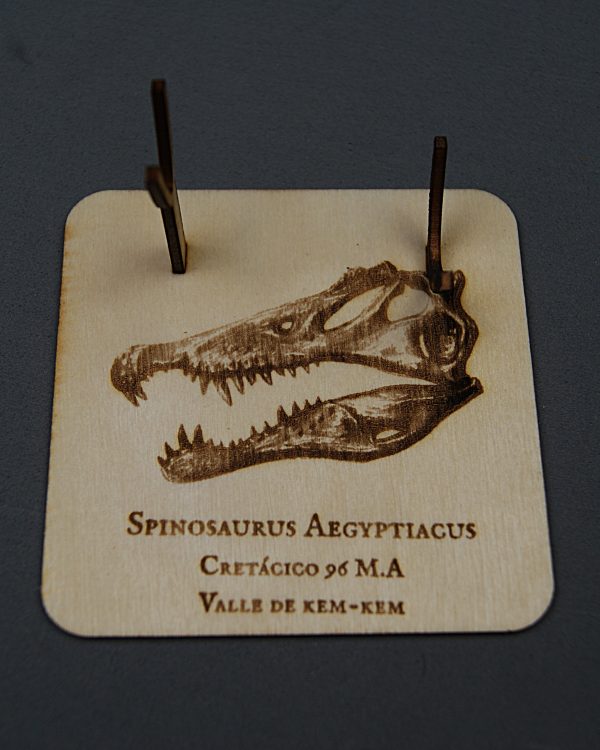 Soporte de madera Spinosaurus
