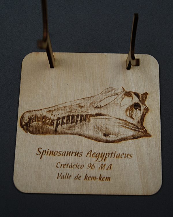 Soporte de madera Spinosaurus