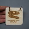 Soporte de madera Carcharodontosaurus