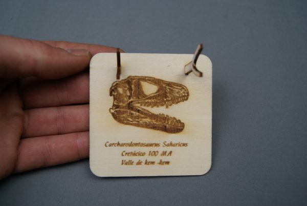 Soporte de madera Carcharodontosaurus