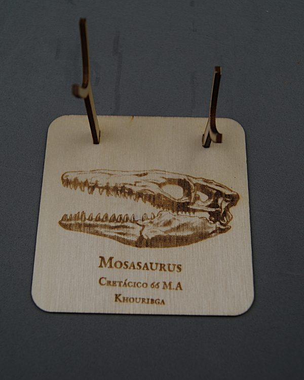 Soporte de madera Mosasaurus