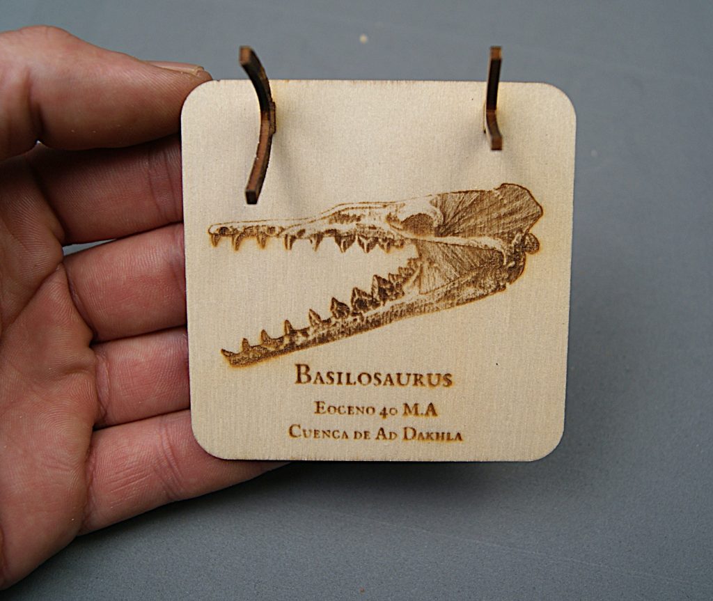 Soporte de madera Basilosaurus
