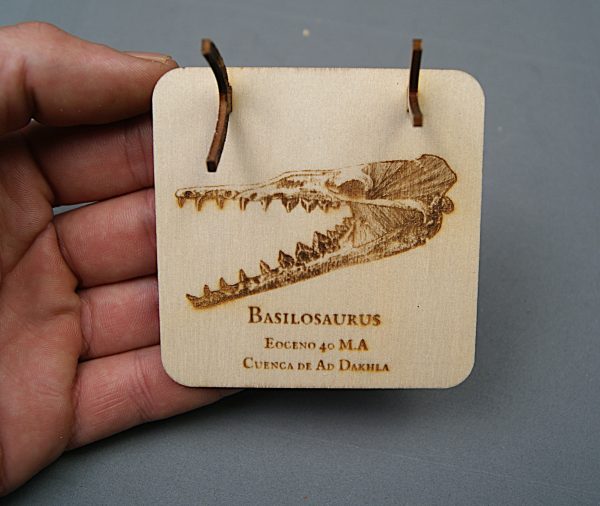 Soporte de madera Basilosaurus