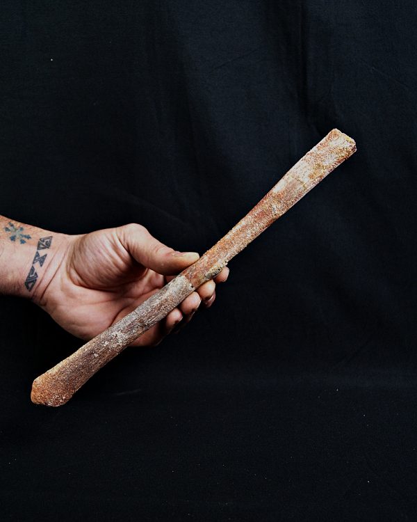 SONY DSC Hueso de ala de Alanqa pterosaurio