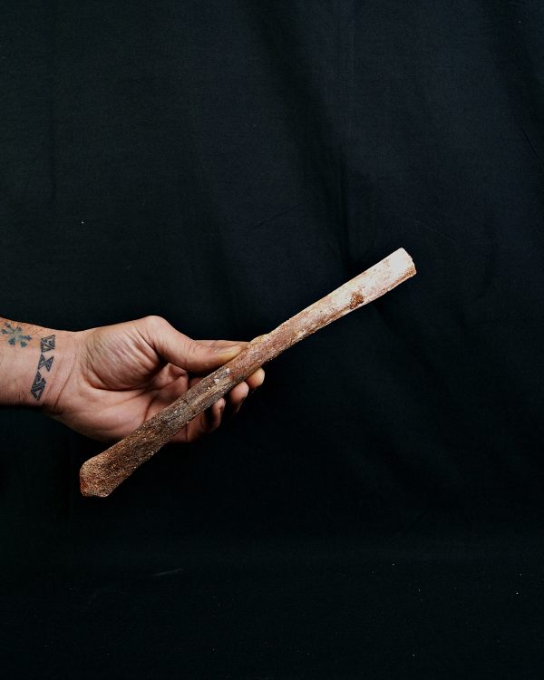 SONY DSC Hueso de ala de Alanqa pterosaurio