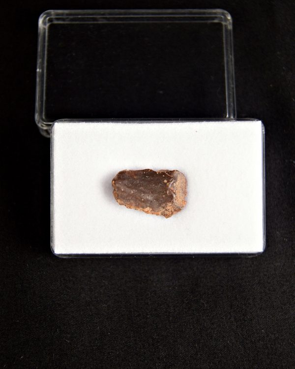 SONY DSC Obaichthys africanus