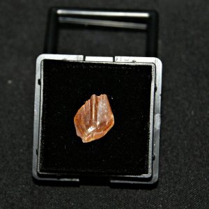 Escama de Obaichthys africanus