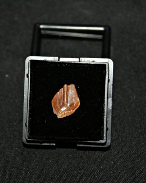 Escama de Obaichthys africanus