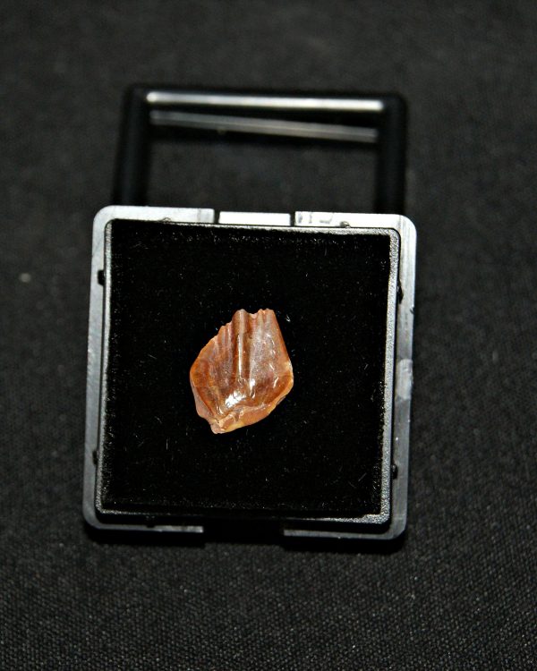 SONY DSC Escama de Obaichthys africanus