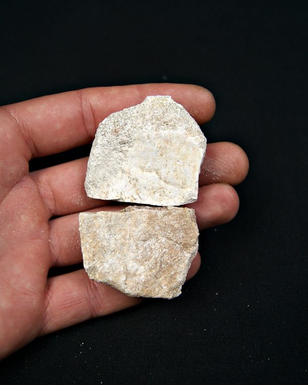 Caparazón de tortuga