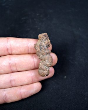 Coprolito fósil de Madagascar