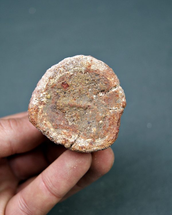 Vértebra de dinosaurio kem kem