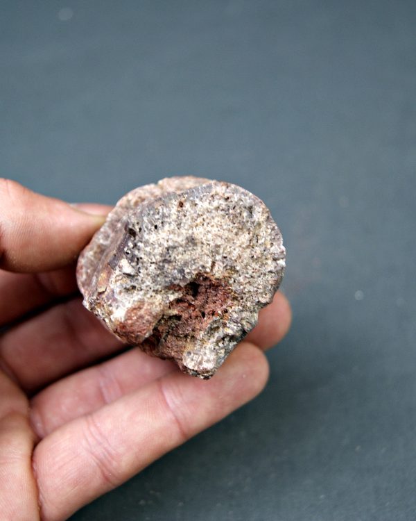 Vértebra de dinosaurio kem kem