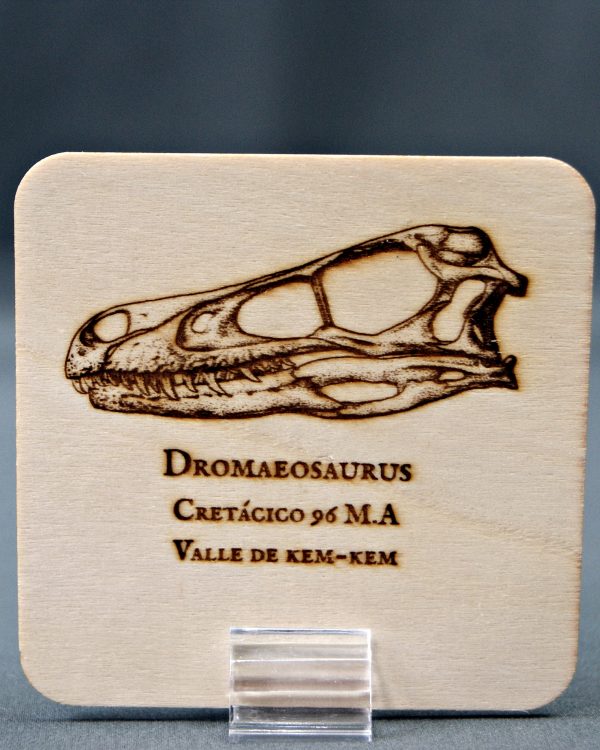 Tarjeta de madera Dromaeosaurio
