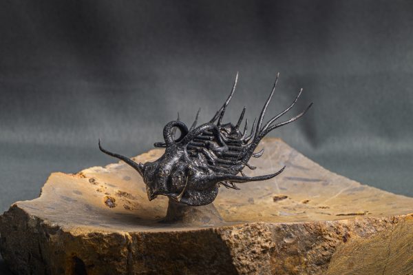 Dicranurus monstruosus