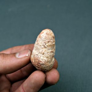 Coprolito piscívoro kem kem