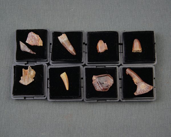 Colección del valle de Kem Kem