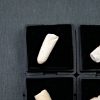 Coprolito de pez fósil (und)