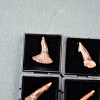 Rostral de Onchopristis numidus (und)