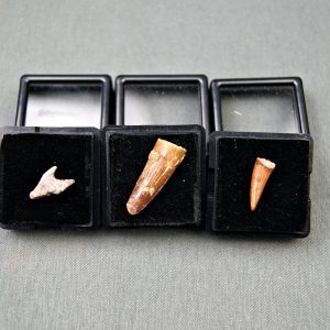 Colección del valle de Kem Kem