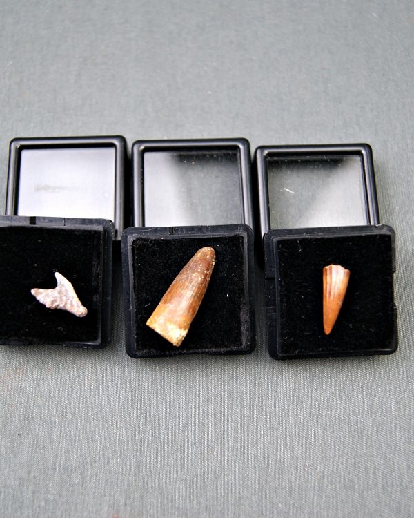 Colección del valle de Kem Kem