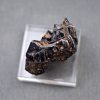 Molar de Bison priscus