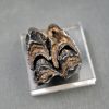 Molar de Bison priscus
