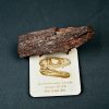 Hueso parcial de Carcharodontosaurus