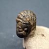 SONY DSC Trilobite Crotalocephalos gibbus