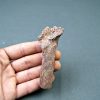 Hueso parcial de dinosaurio indet