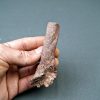 Hueso parcial de dinosaurio indet
