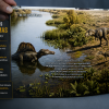 Libro Spinosaurus Aegyptiacus