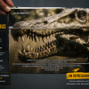 Libro Spinosaurus Aegyptiacus