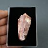 Spinosaurus aegyptiacus