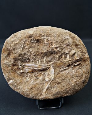 Mandíbula de Enchodus lybicus