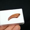 Garra de pterosaurio