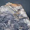 Fragmentos de Calamites