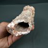 Hueso de dinosaurio